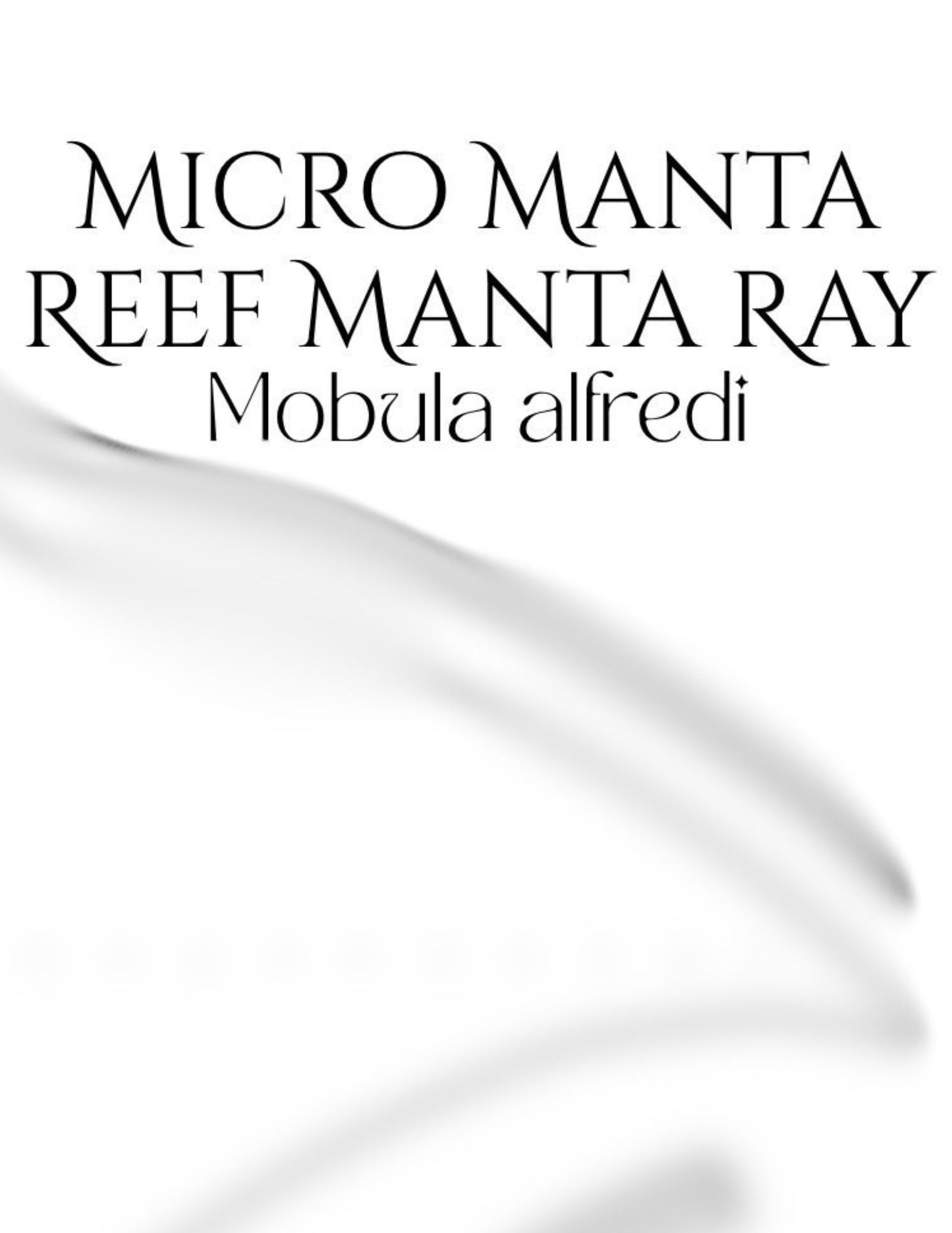 Guam Håfula Reef Micro Manta PDF Template