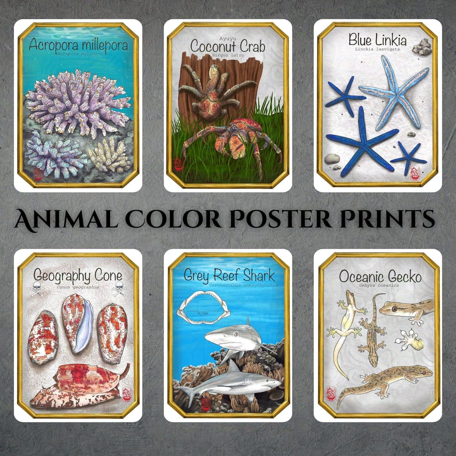 Art Prints