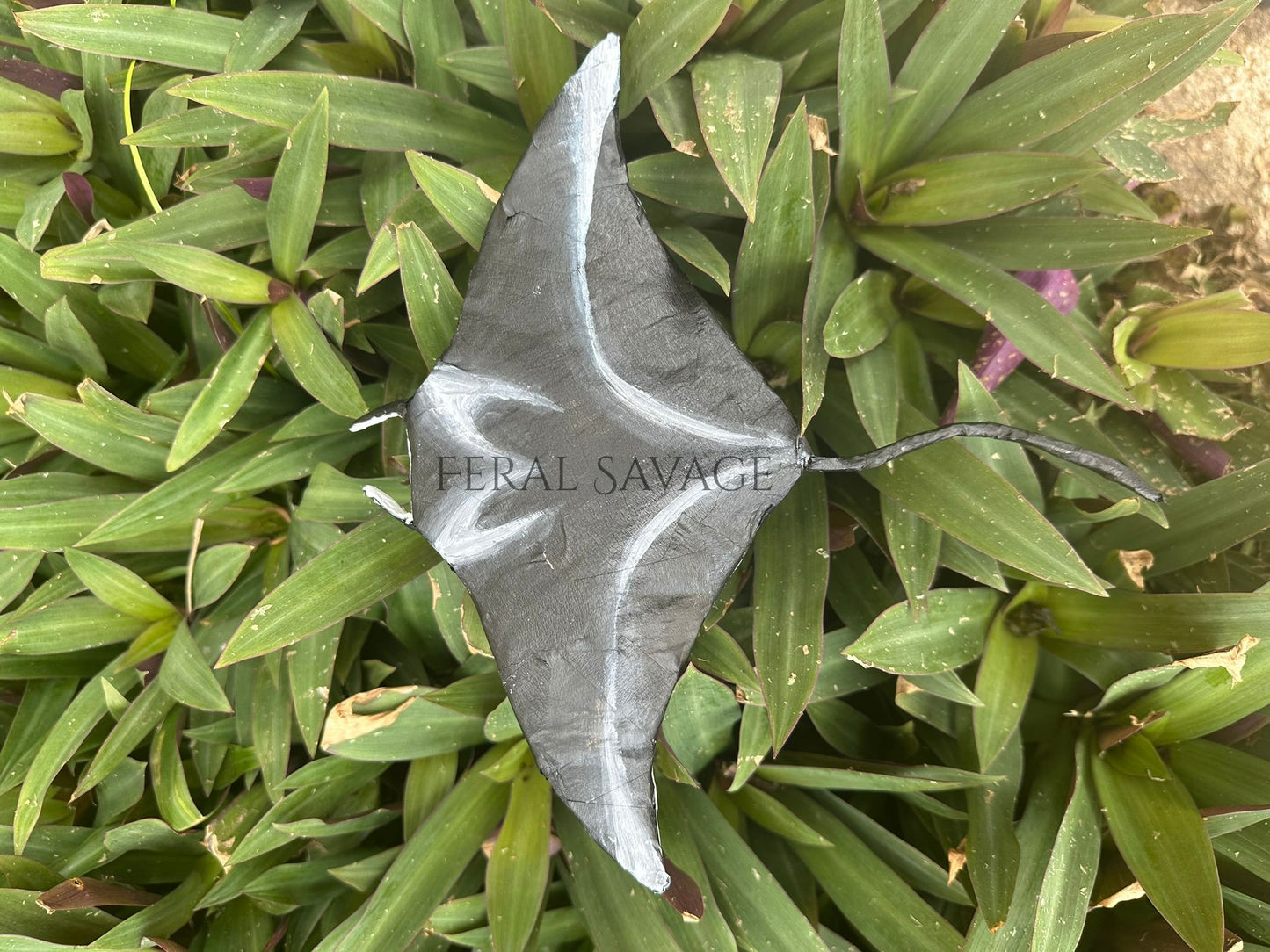 Guam Håfula Reef Micro Manta PDF Template