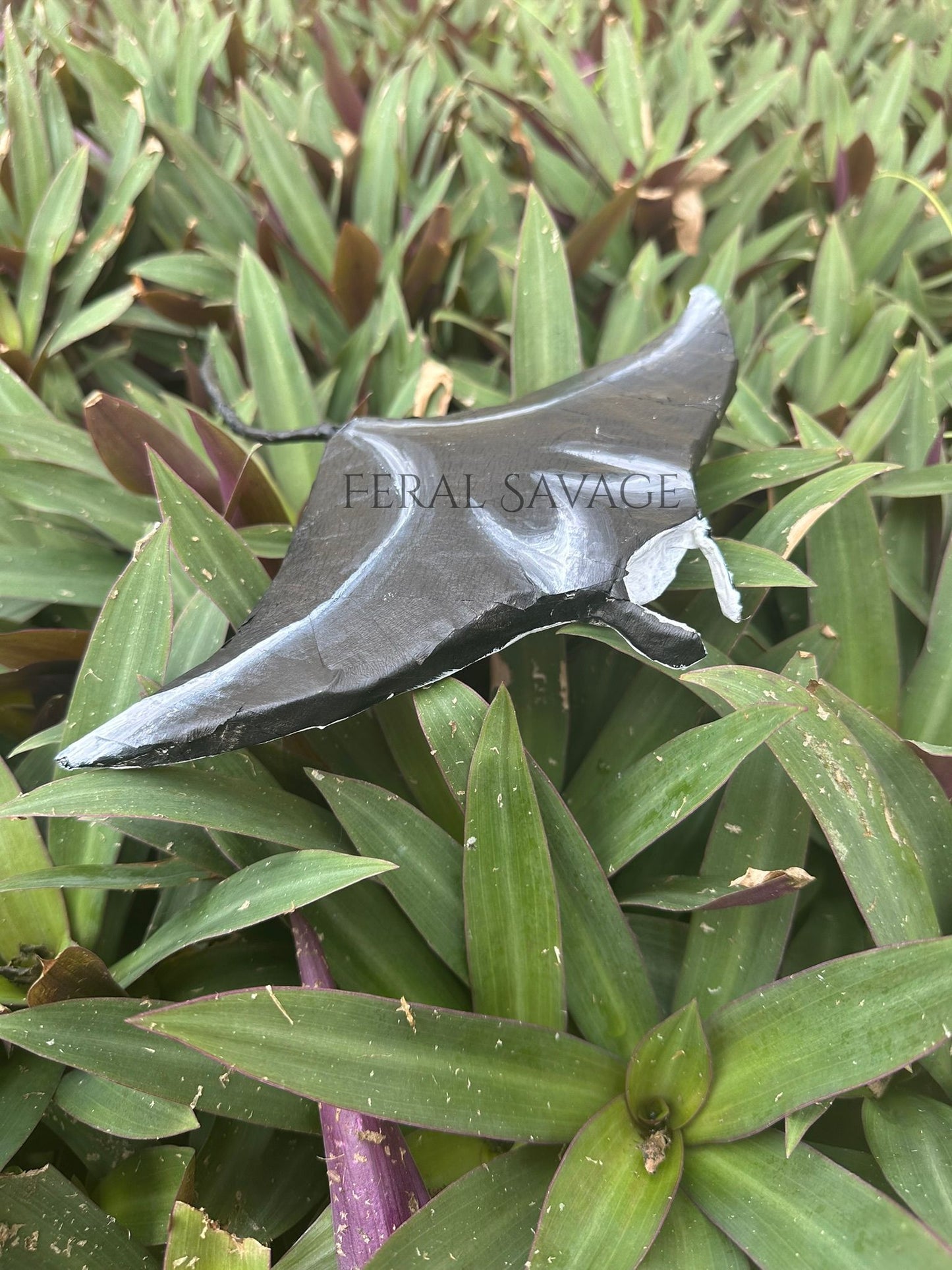 Guam Håfula Reef Micro Manta PDF Template